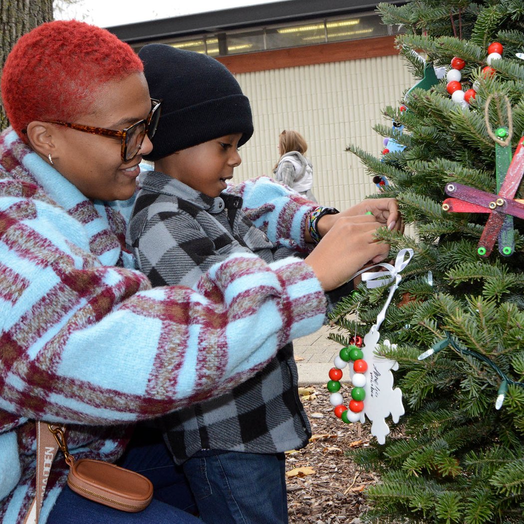 Tree Trim 1