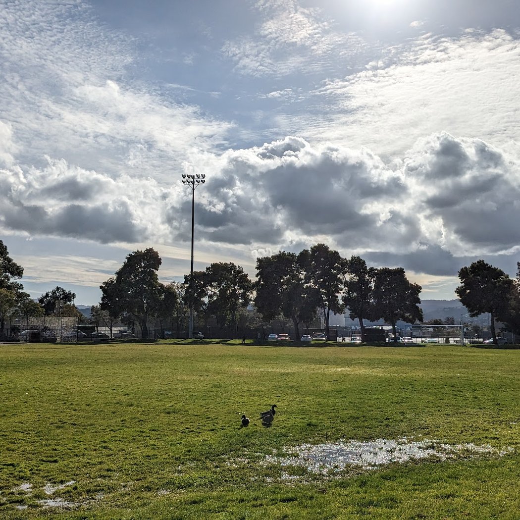Bayside/Joinville Park 2