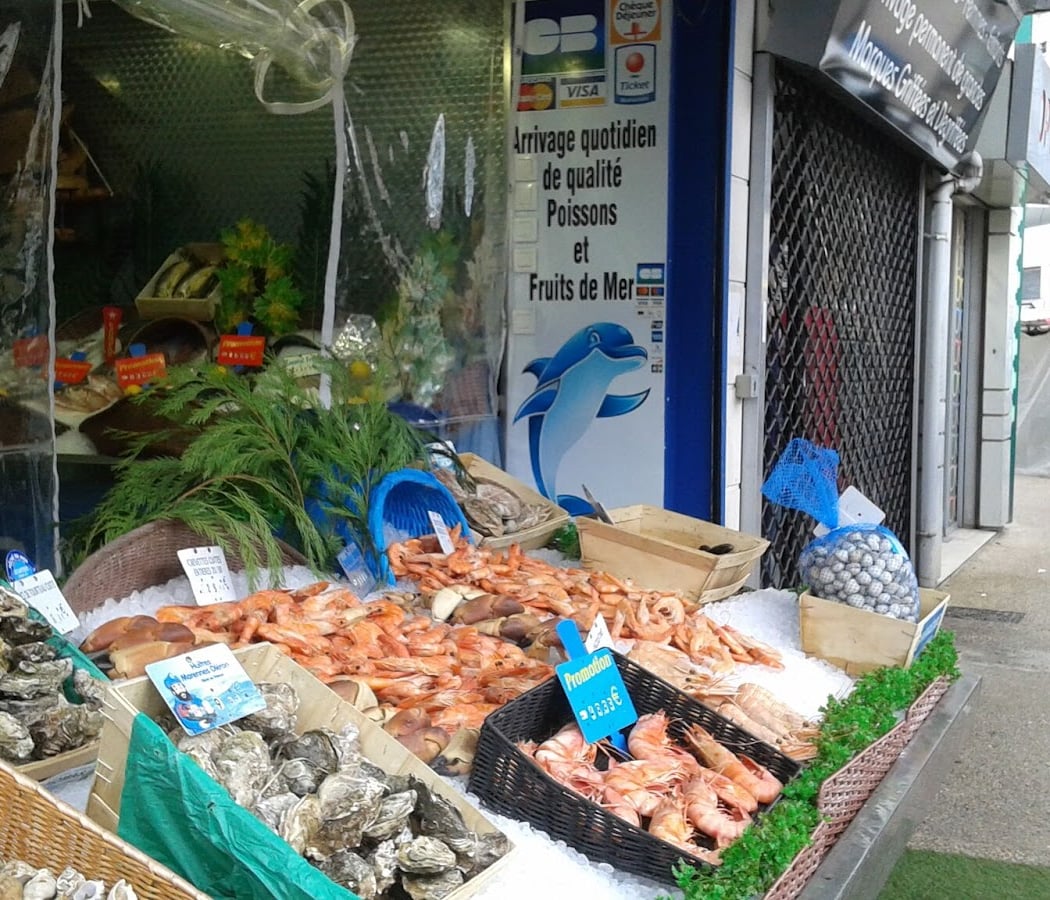 Auber-Fish 3