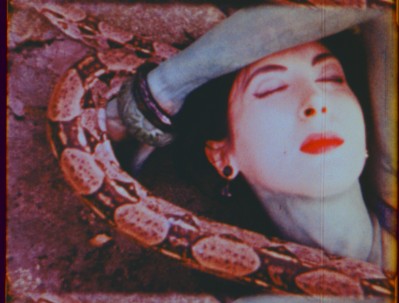 The Carnal Screen: "Normal Love" by Jack Smith 1