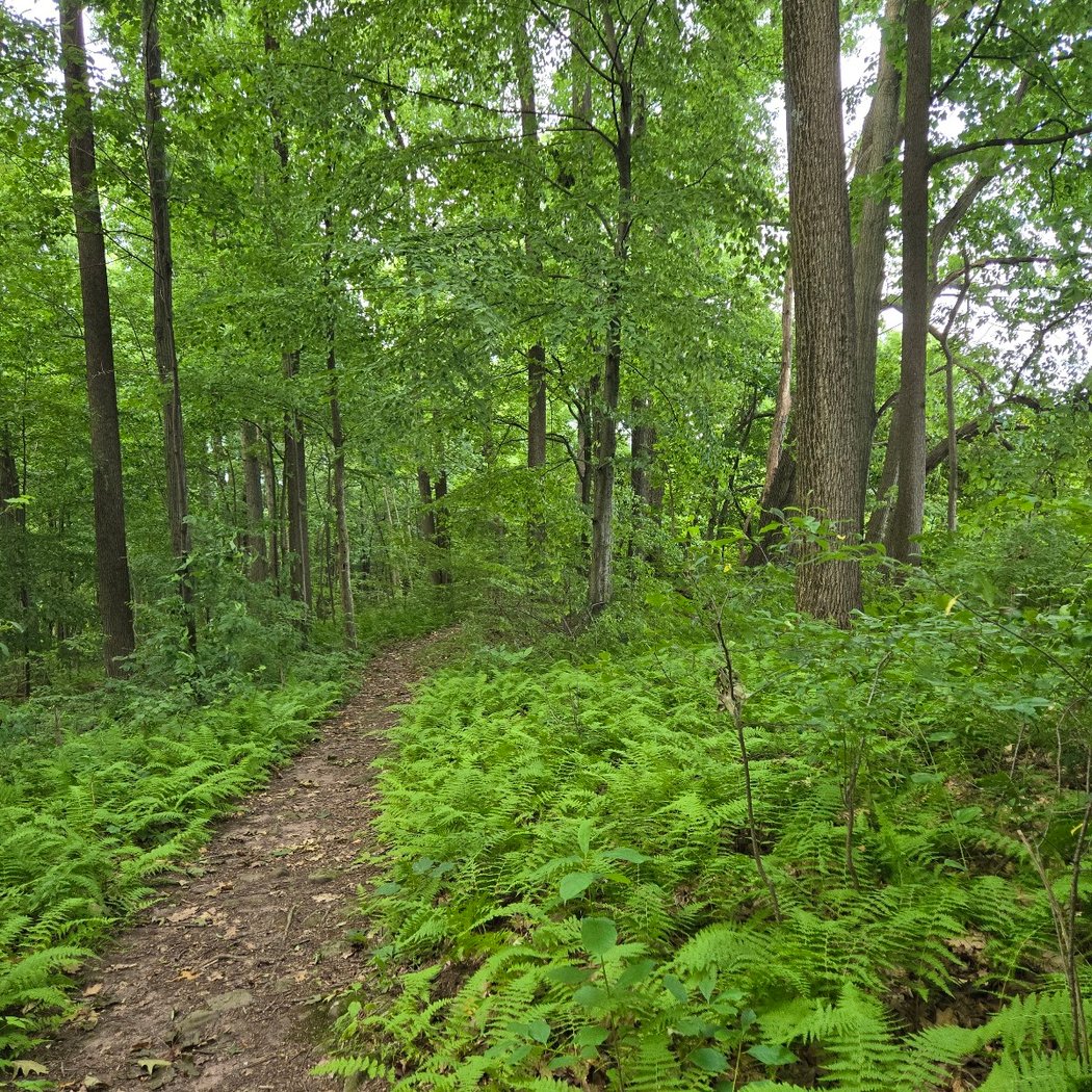 Green Hills Preserve 2