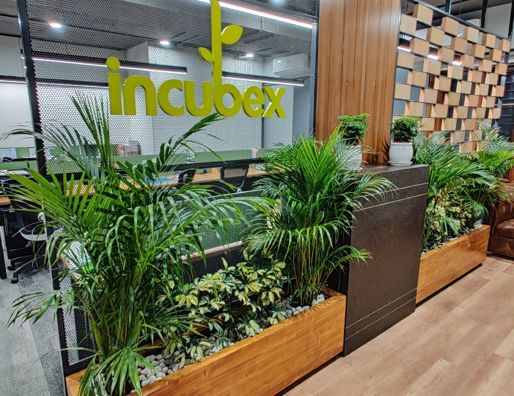 Incubex HSROHQ 1