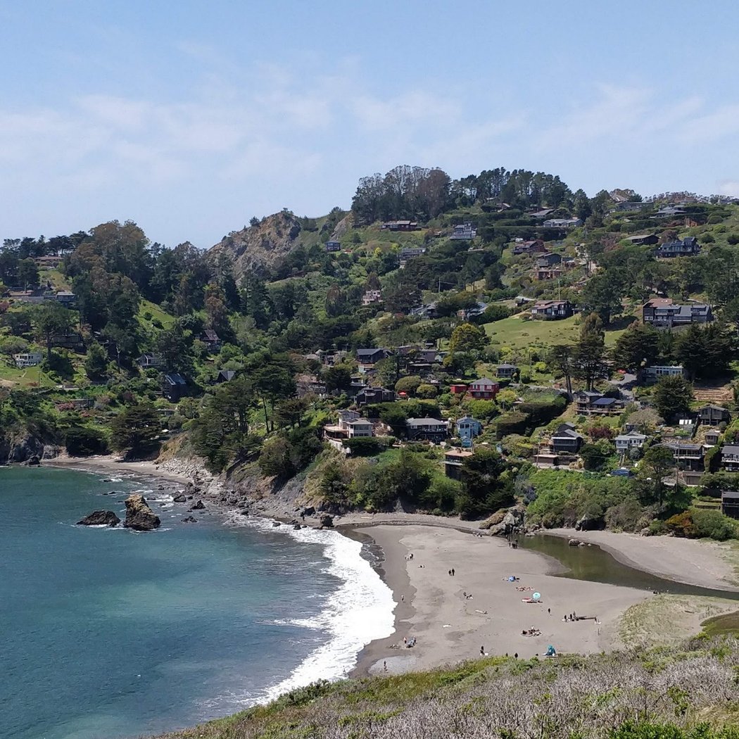Muir Beach Clean-Ups 2
