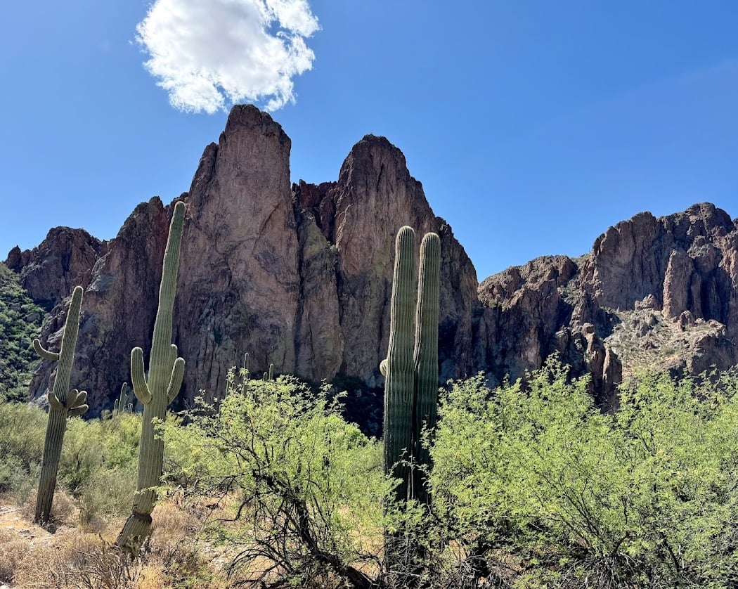 Saguaro Lake Guest Ranch 3