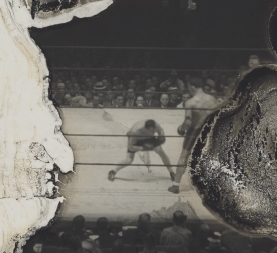 Fragile Frames: Early 20th Century Nitrate Cinema 1