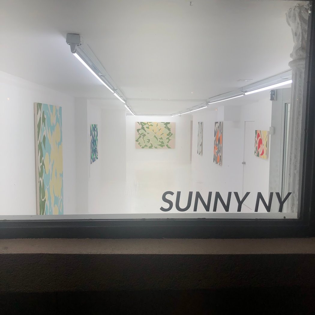 Sunny Ny 2