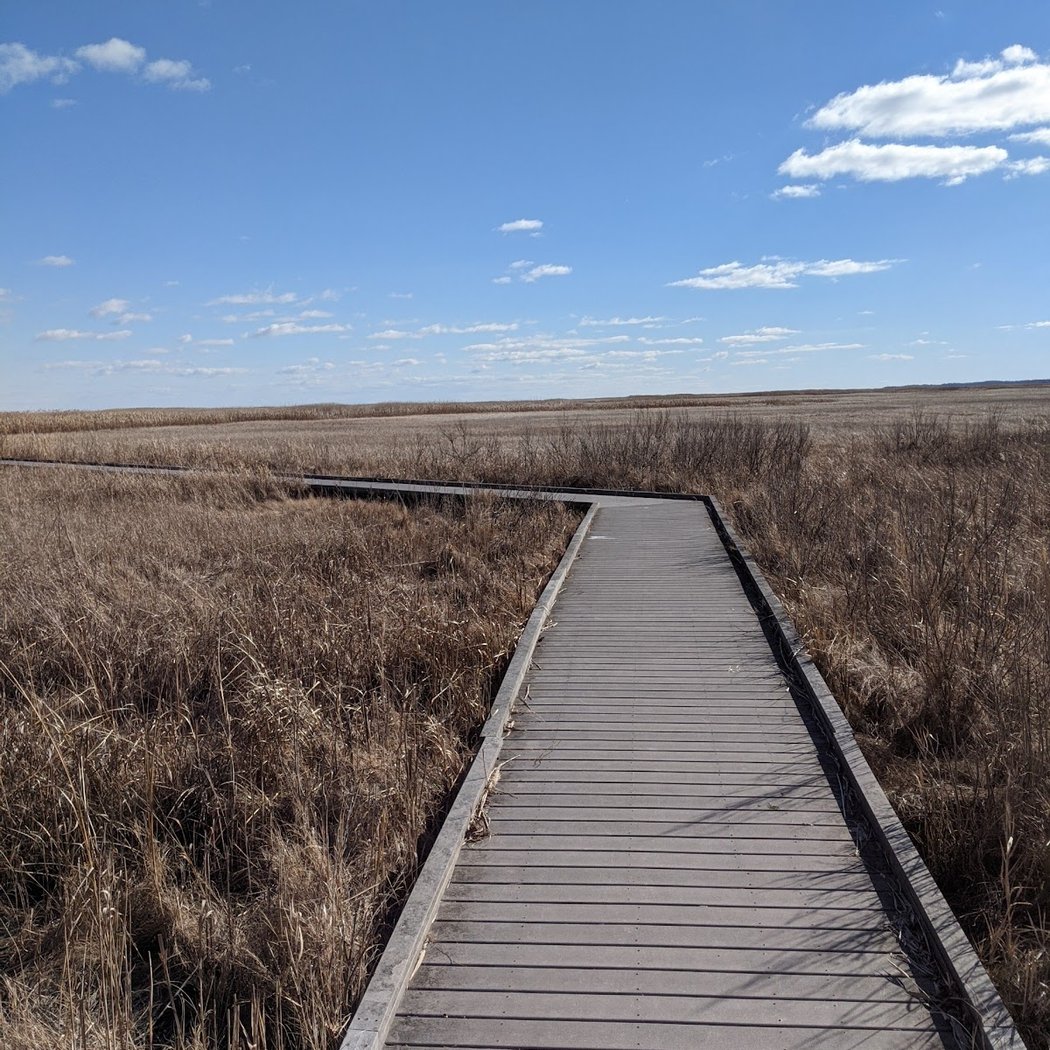 Bombay Hook National Wildlife Refuge 3