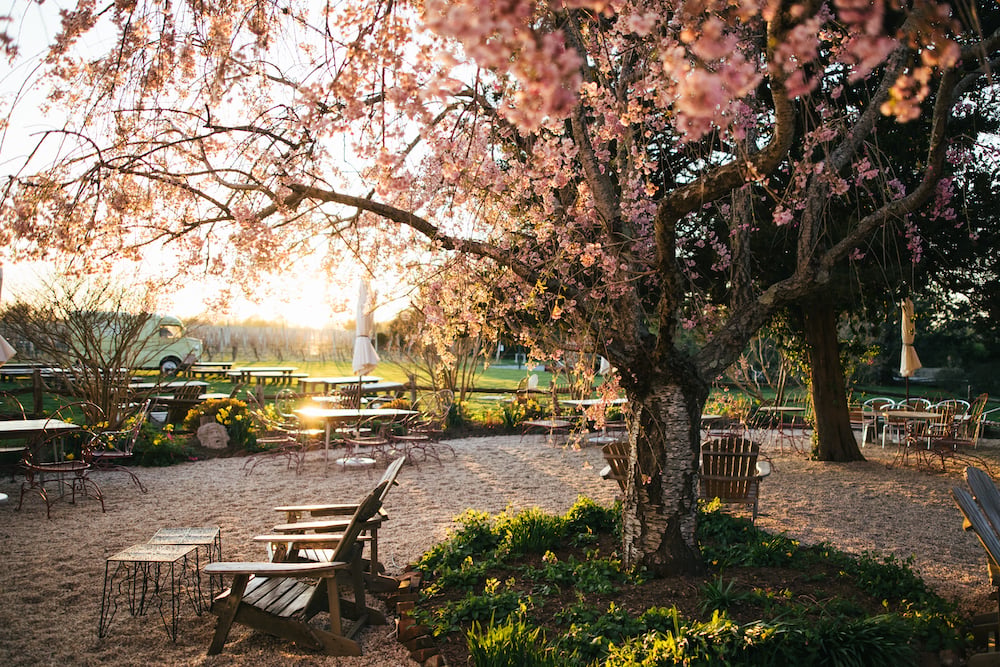 Croteaux Vineyards 1