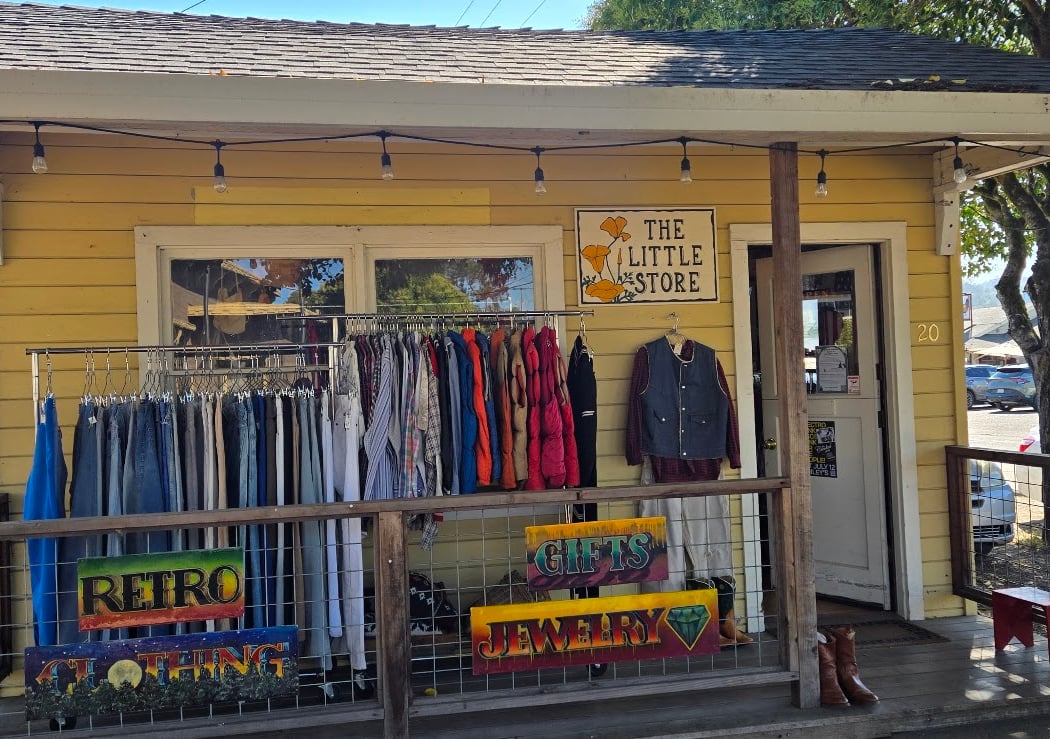 The little store 1