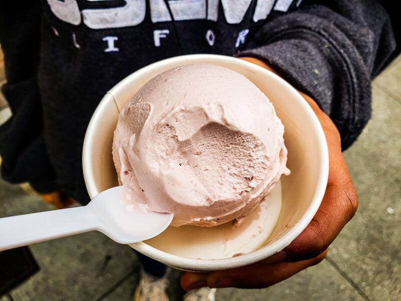 Smitten Ice Cream 2