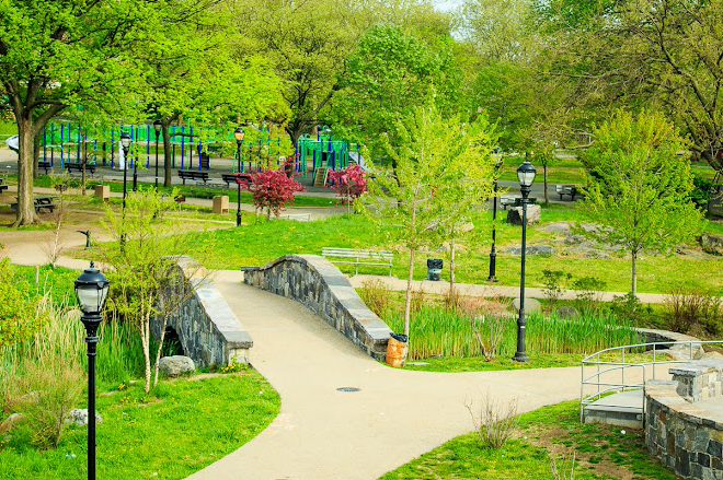 Crotona Park Race 2026 1