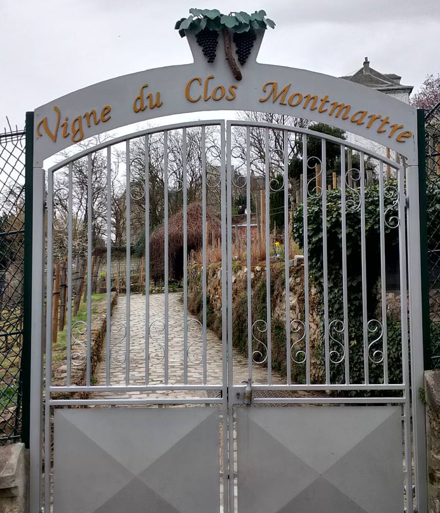 Fête des Vendanges 2