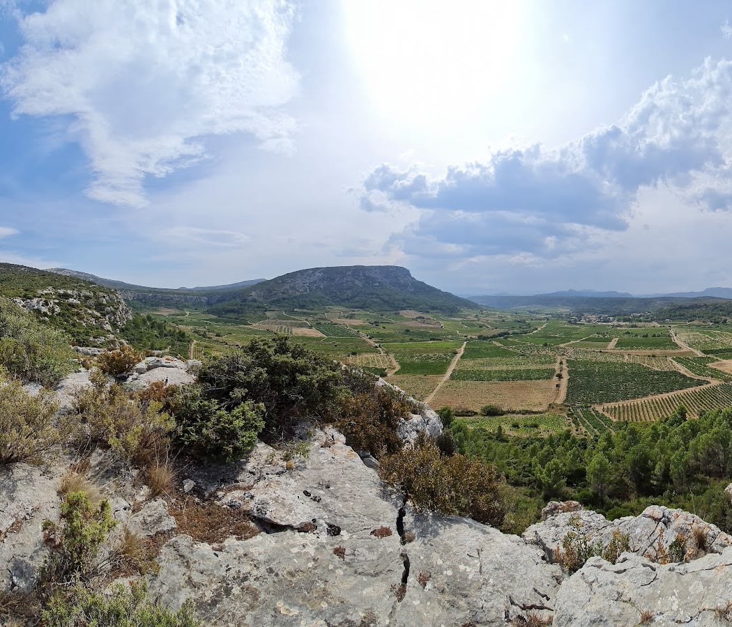 Catalan Wine Escape 2