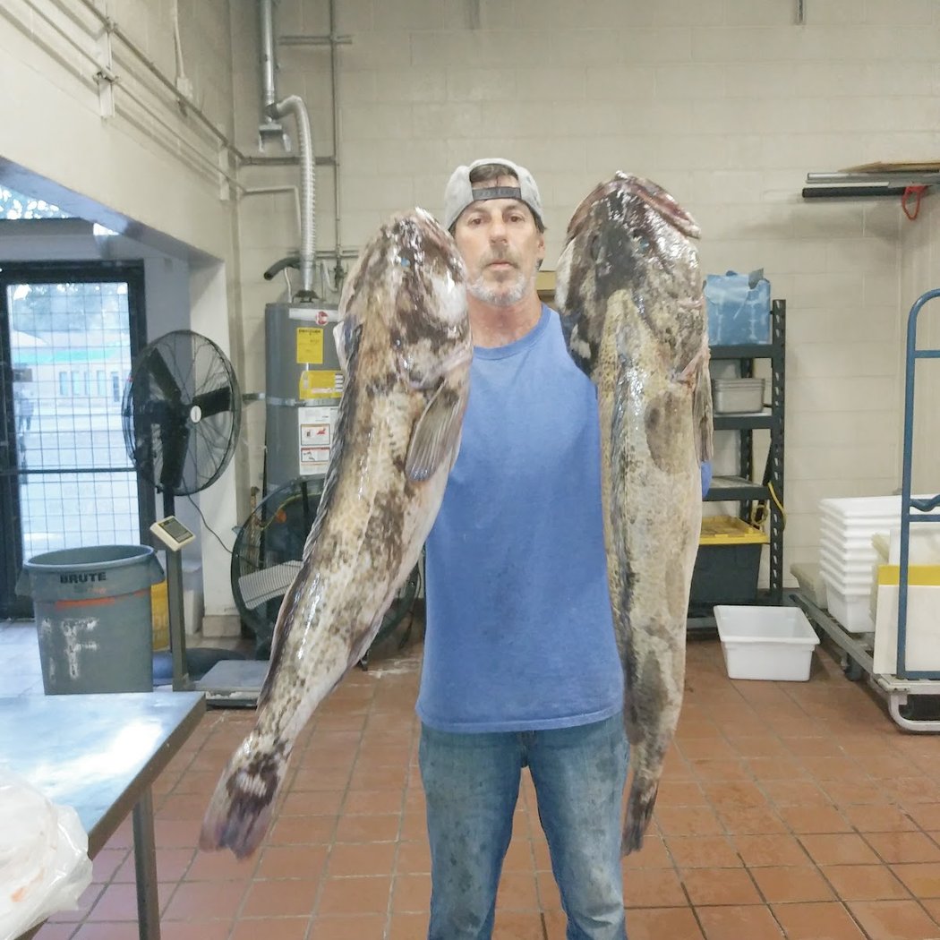 Marina Fish 1