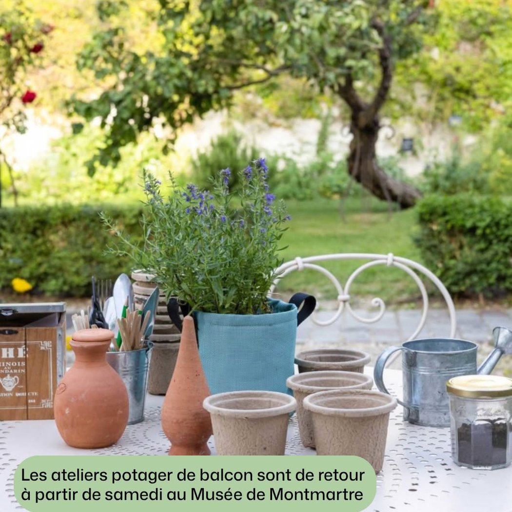 Ateliers potager de balcon 1
