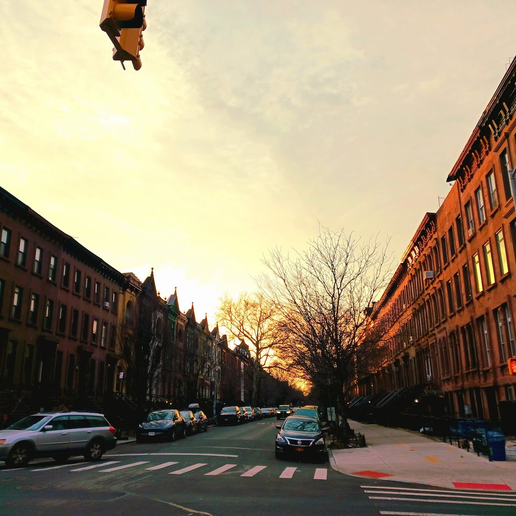 Bedford-Stuyvesant 1