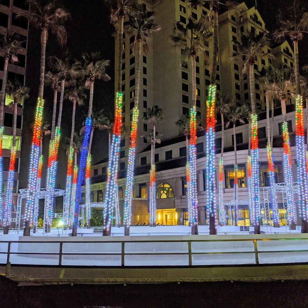 Circle of Palms Plaza 1