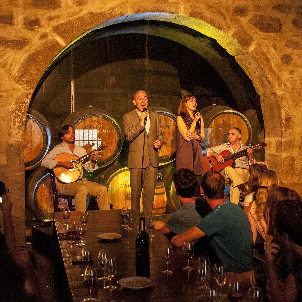Visita Adegas de Cálem + Fado ao Vivo e Degustação Vinho