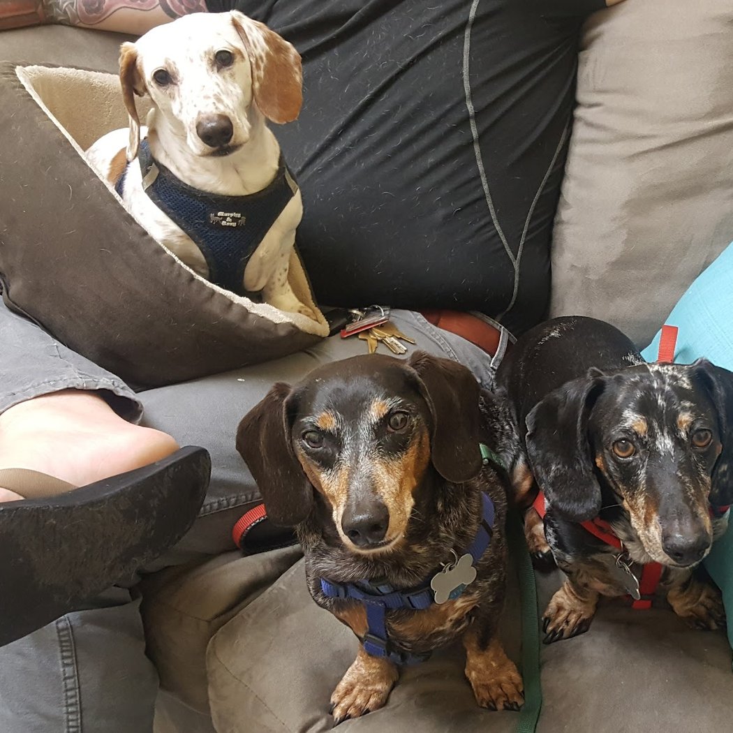 San Marin Animal Hospital 3