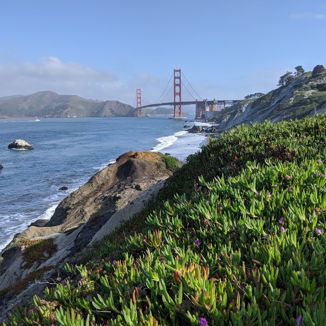 Presidio Habitat Stewards