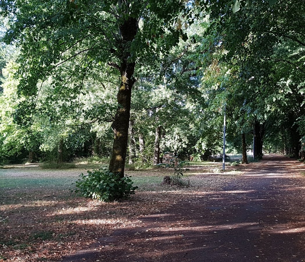 Parc des Grandes Brosses 2