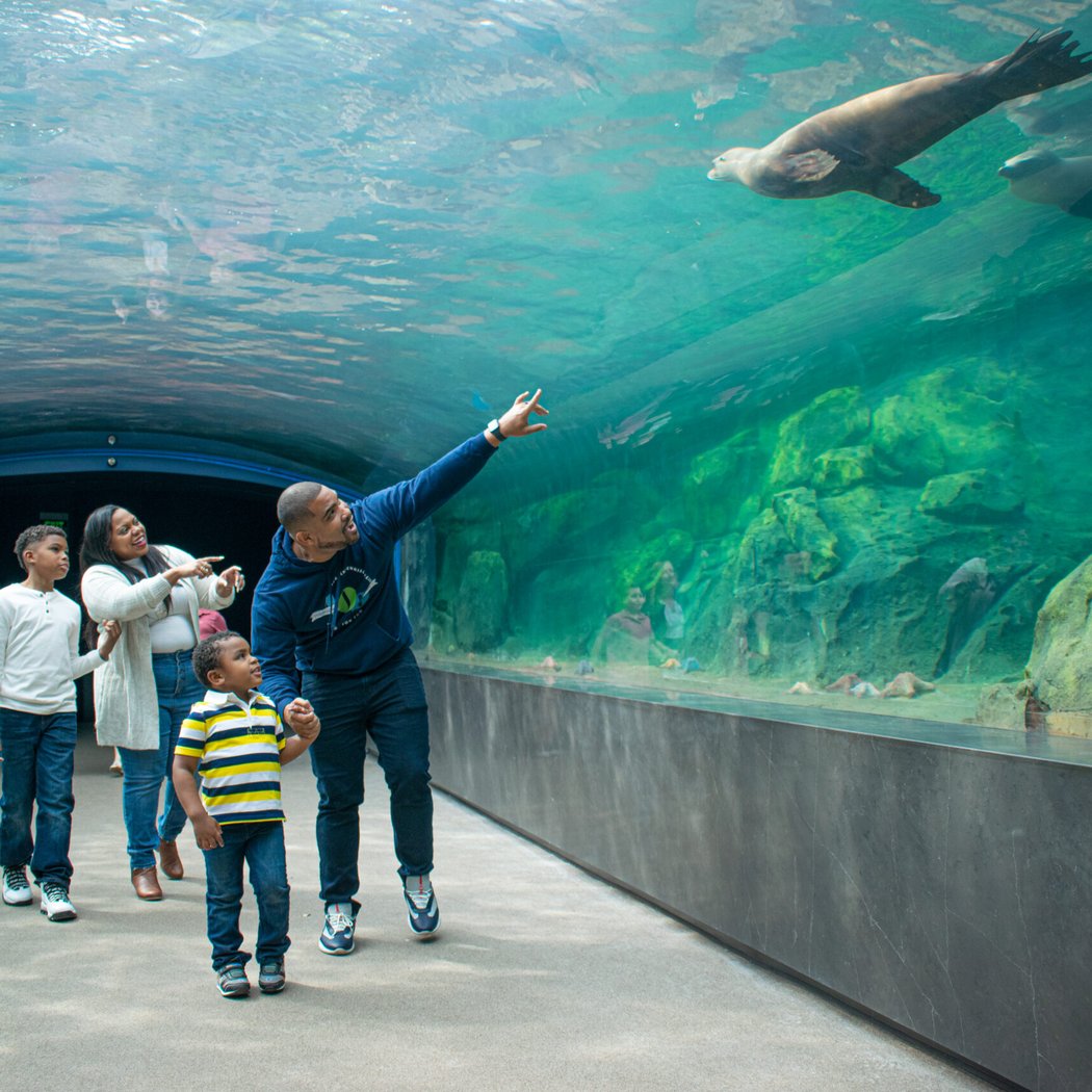 Houston Zoo 1