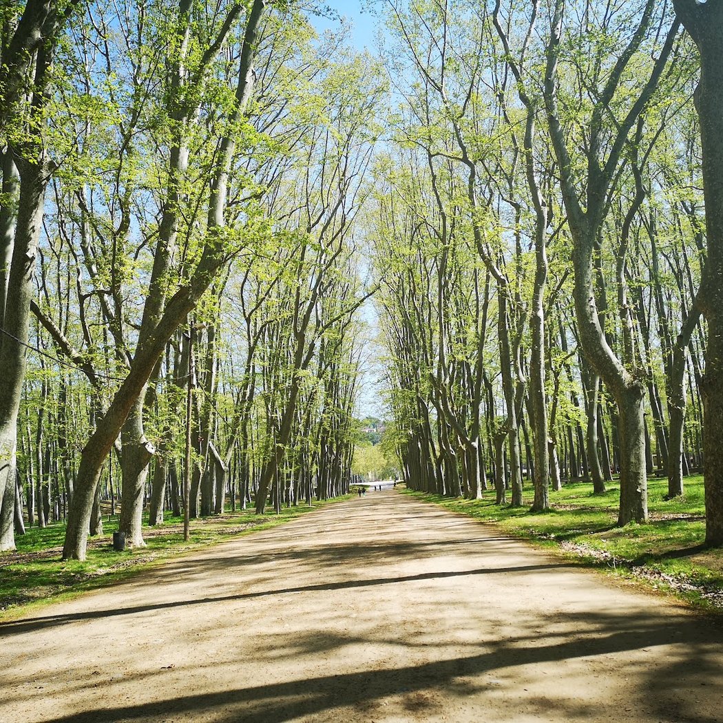 Parc de la Devesa 4