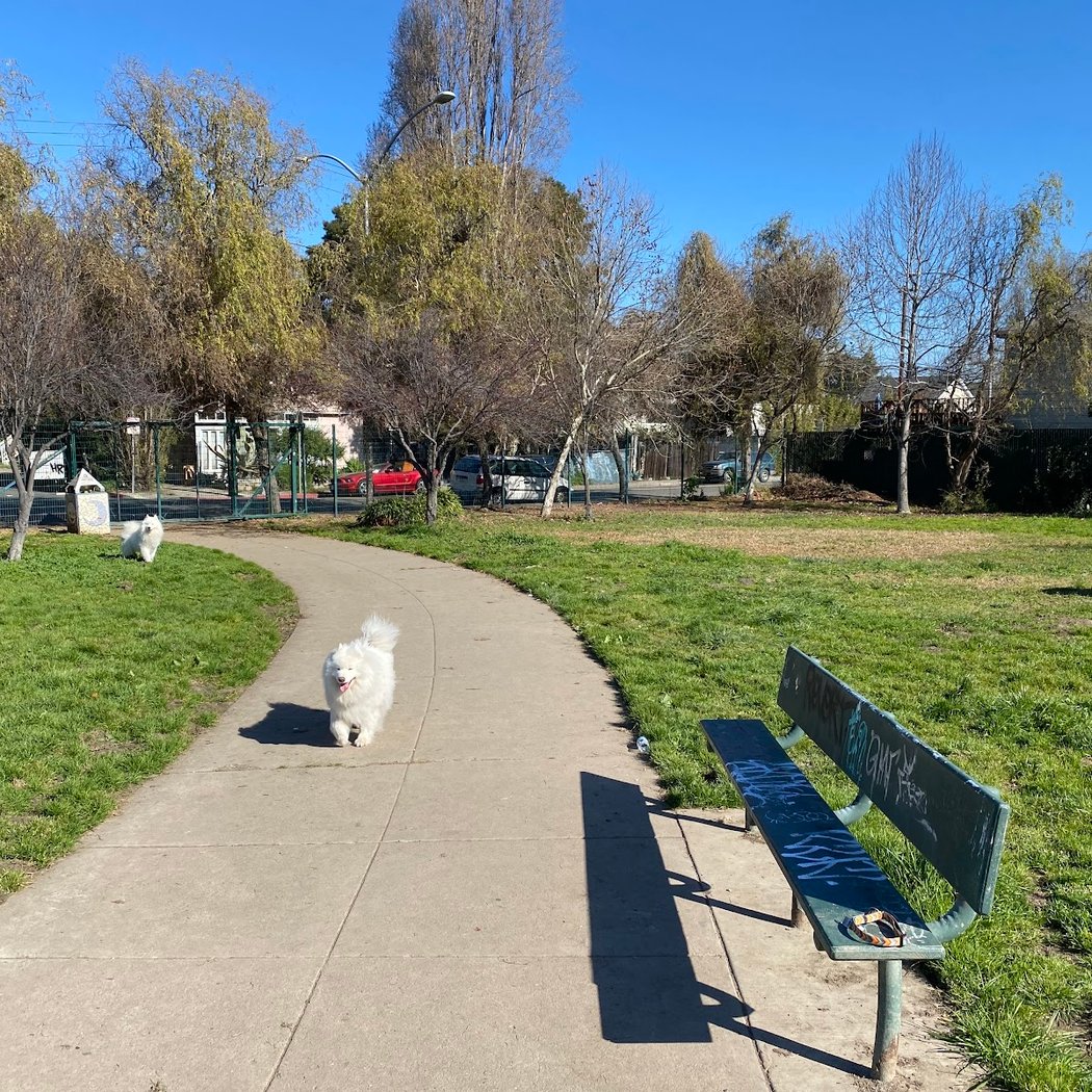 Lower Bottoms Park 1