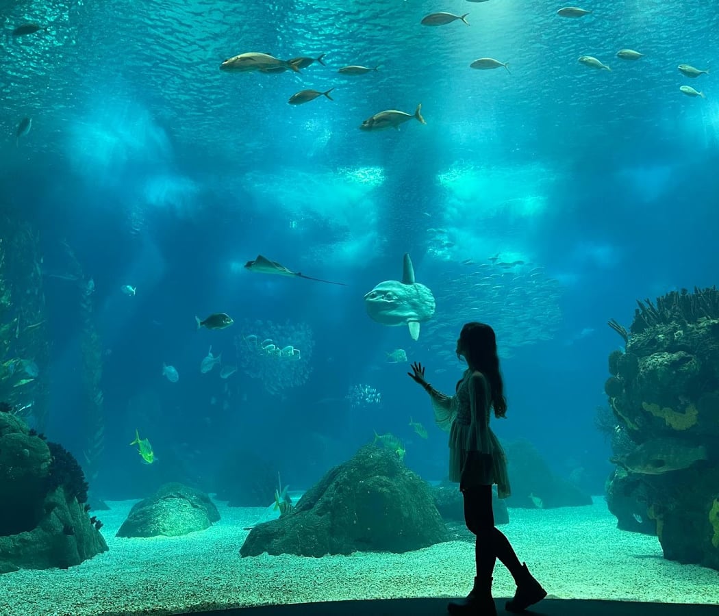 Forests Underwater by Takashi Amano 2