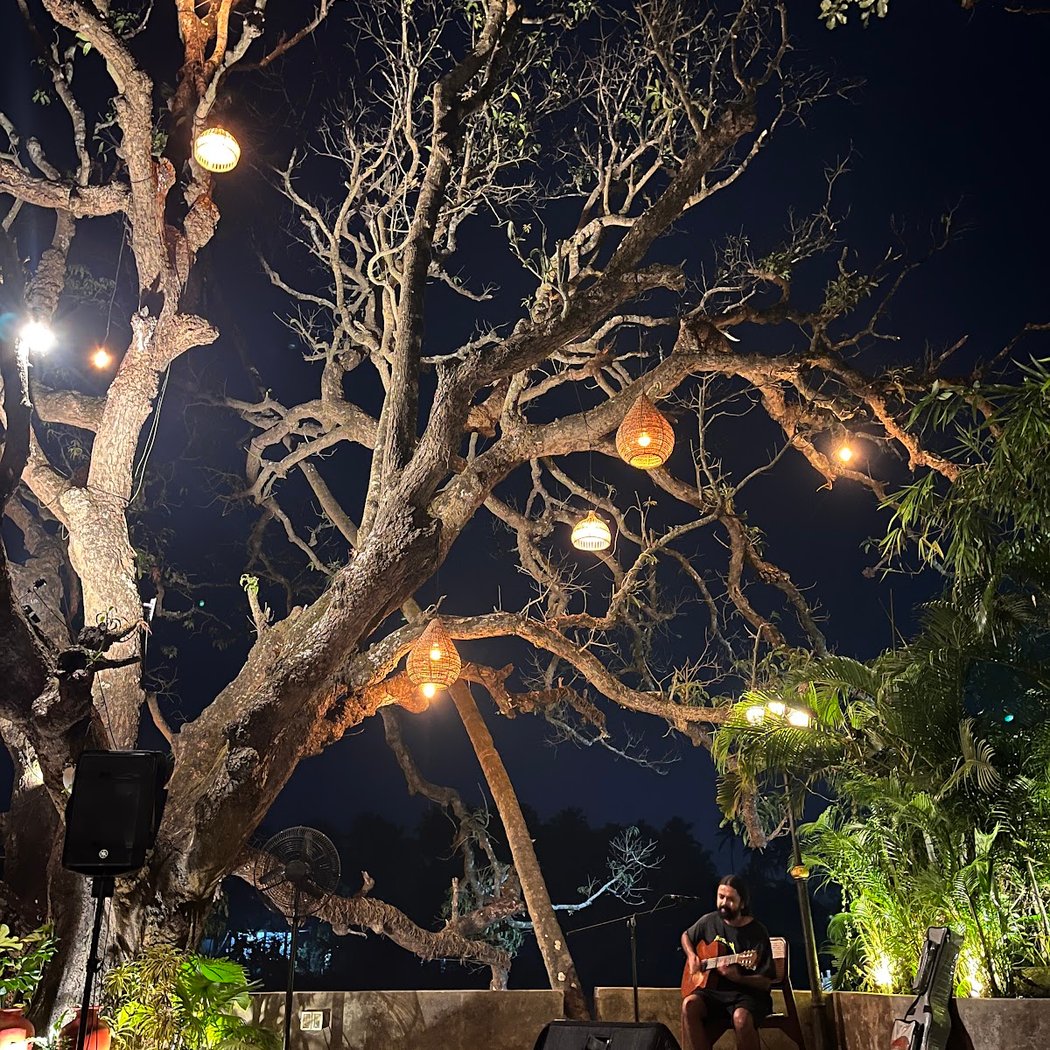 Elephant and Co. Anjuna, Goa 4