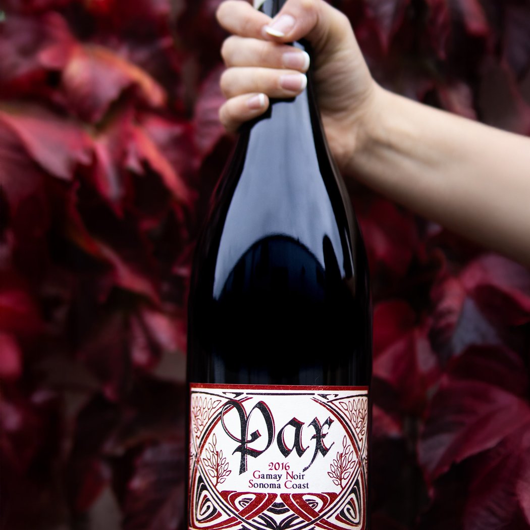 Holiday Magnum Pour: 2016 Gamay Noir, Sonoma Coast 1