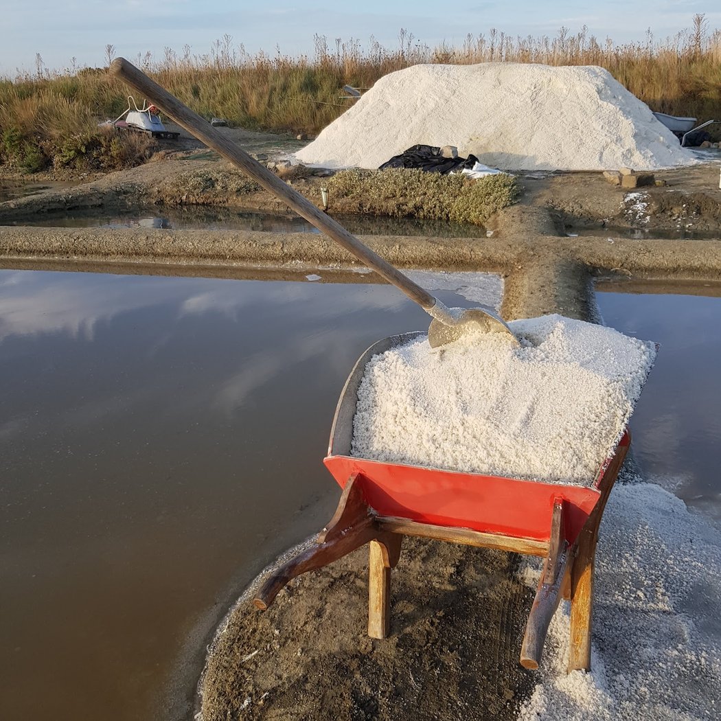 Sel et fleur de sel Vente directe Producteur MACE Jean-François 1
