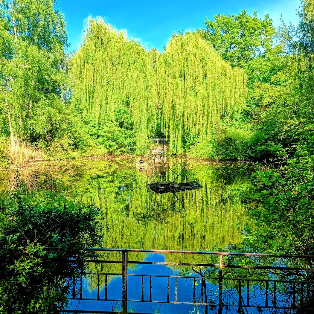 Ernst-Thälmann-Park 1