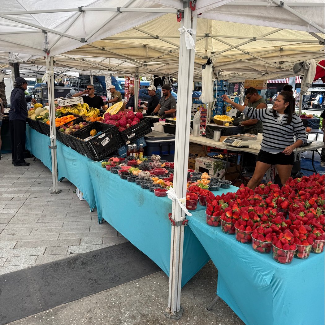 the MKT 1