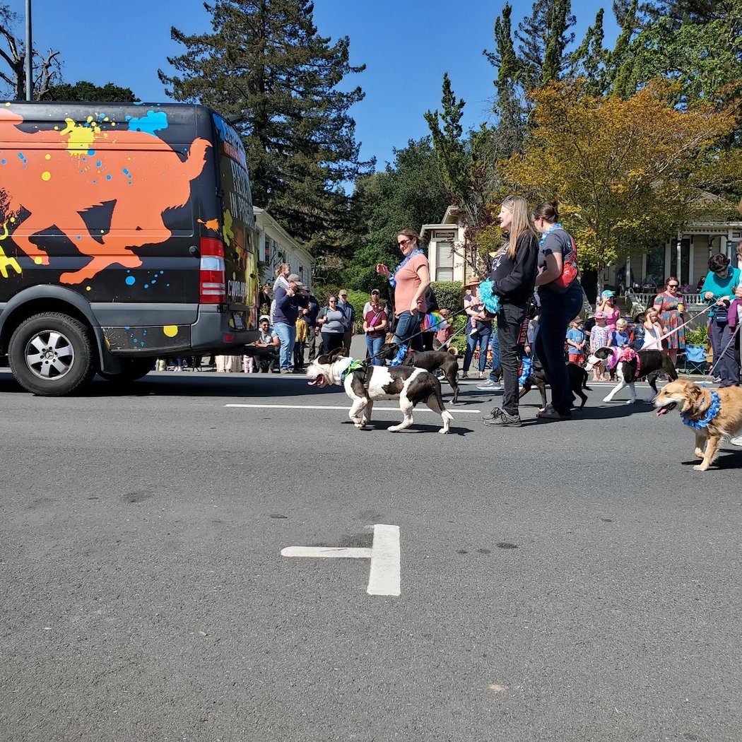 Sebastopol Apple Blossom Festival 2