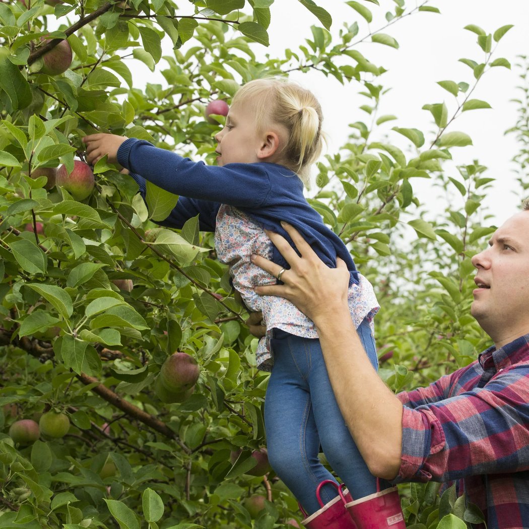 Treworgy Family Orchards 1