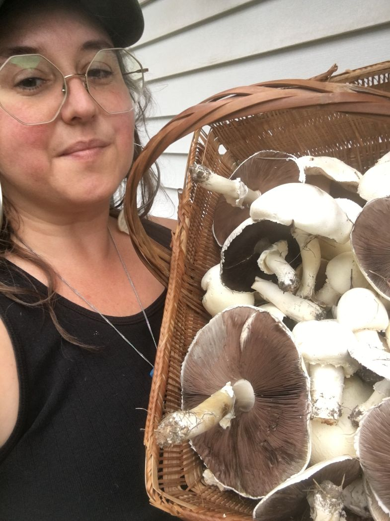 Mushrooms + Culture of Greece 1