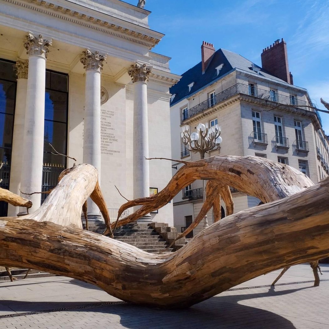 Place Graslin 2