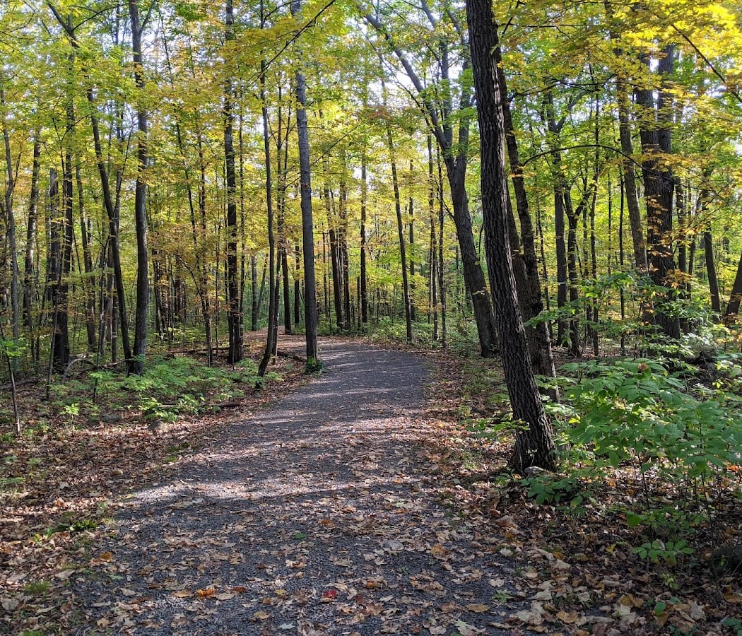 William O'Brien State Park 2