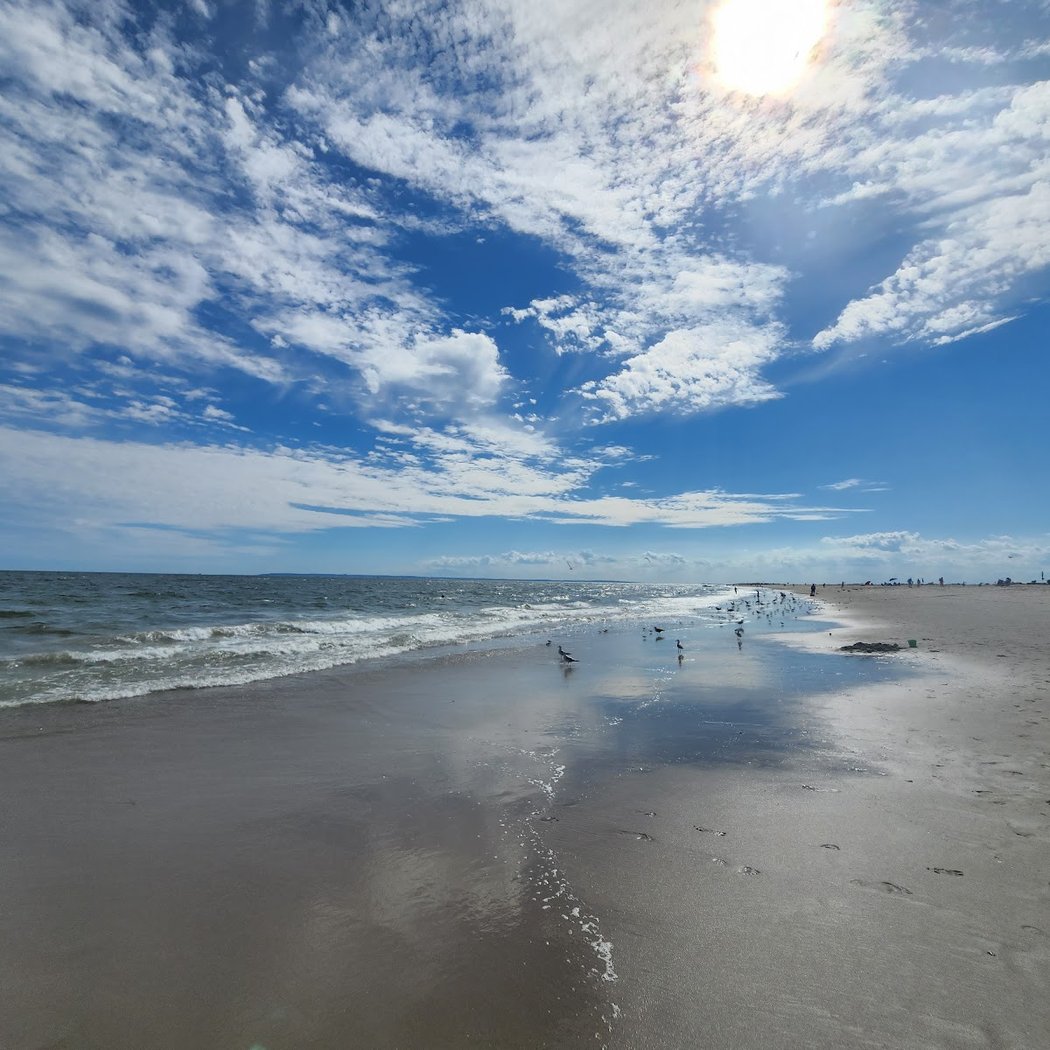 Fort and Dunes Hike at Fort Tilden with the National Park Service 2