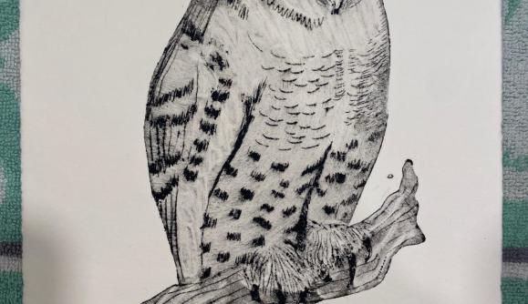Tetra Pak Printmaking with Larissa Grass 1