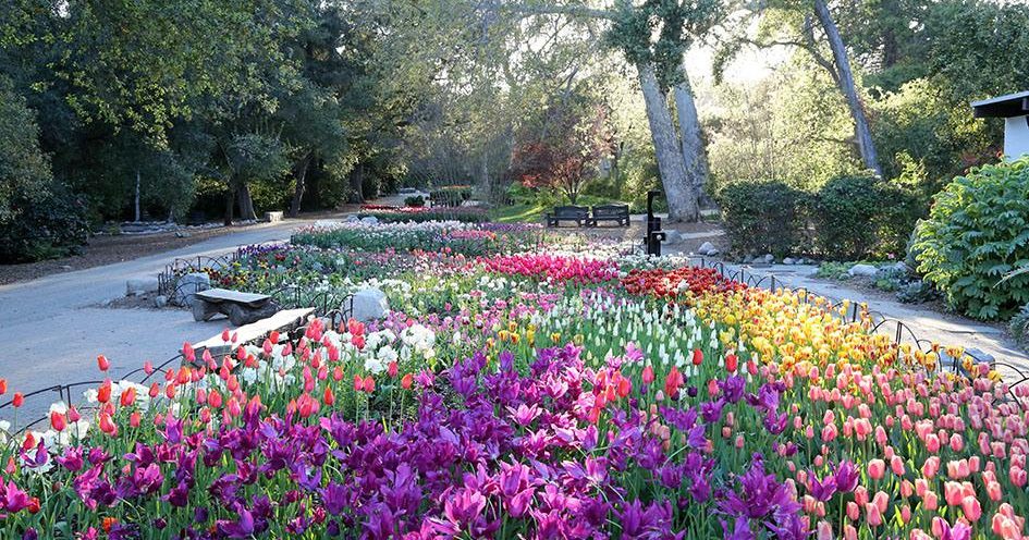 LA's Garden Exhibition 1