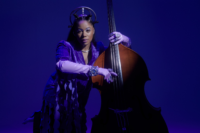 Aneesa Strings 1