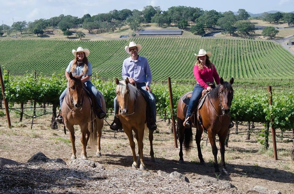 Napa Valley Trail Rides 1