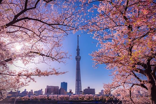 Blue Lock Sky Episode 1