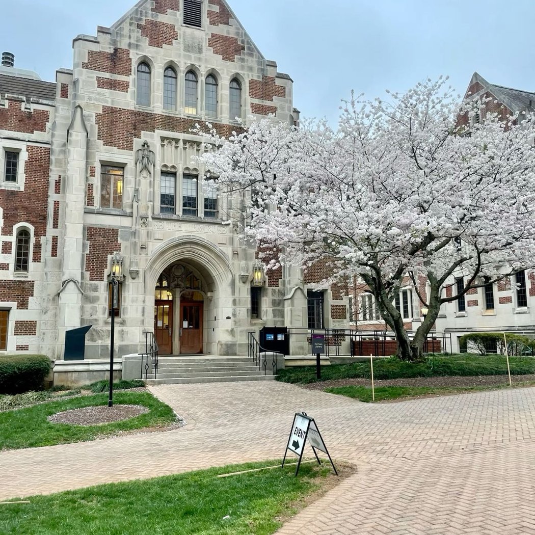 Forest Restoration at Agnes Scott 3