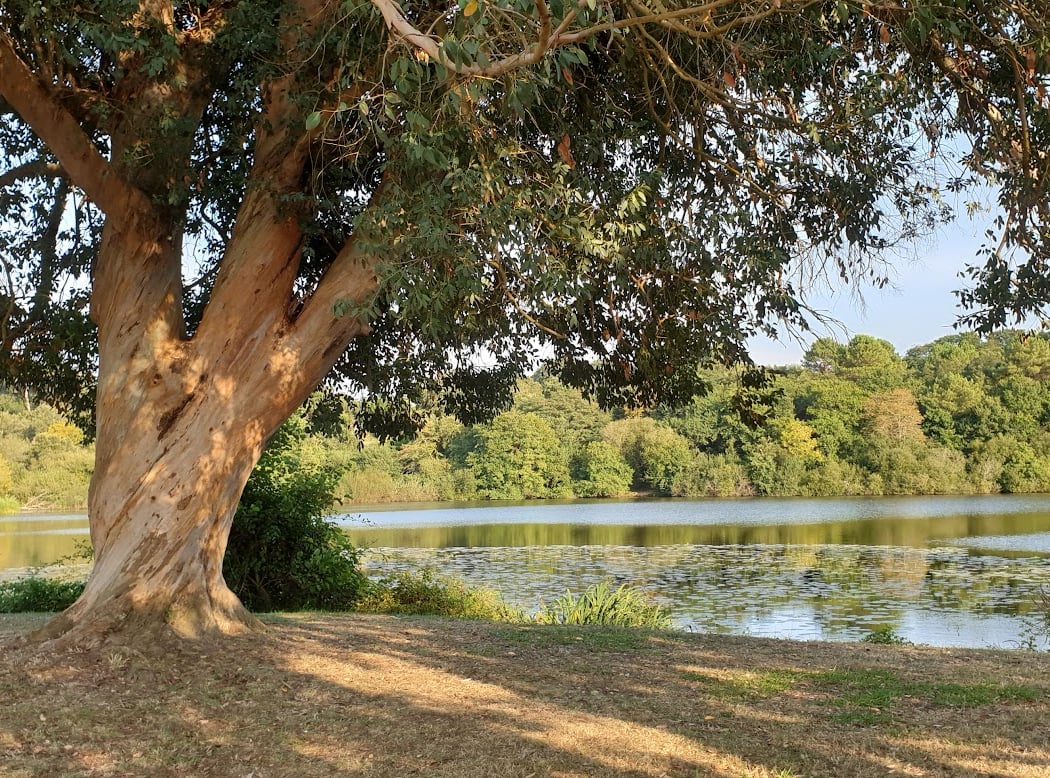 Etang du Turc 1