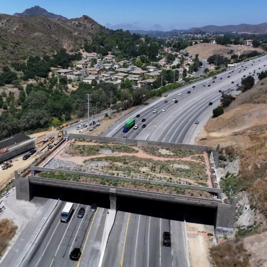 Annenberg Wildlife Crossing 3