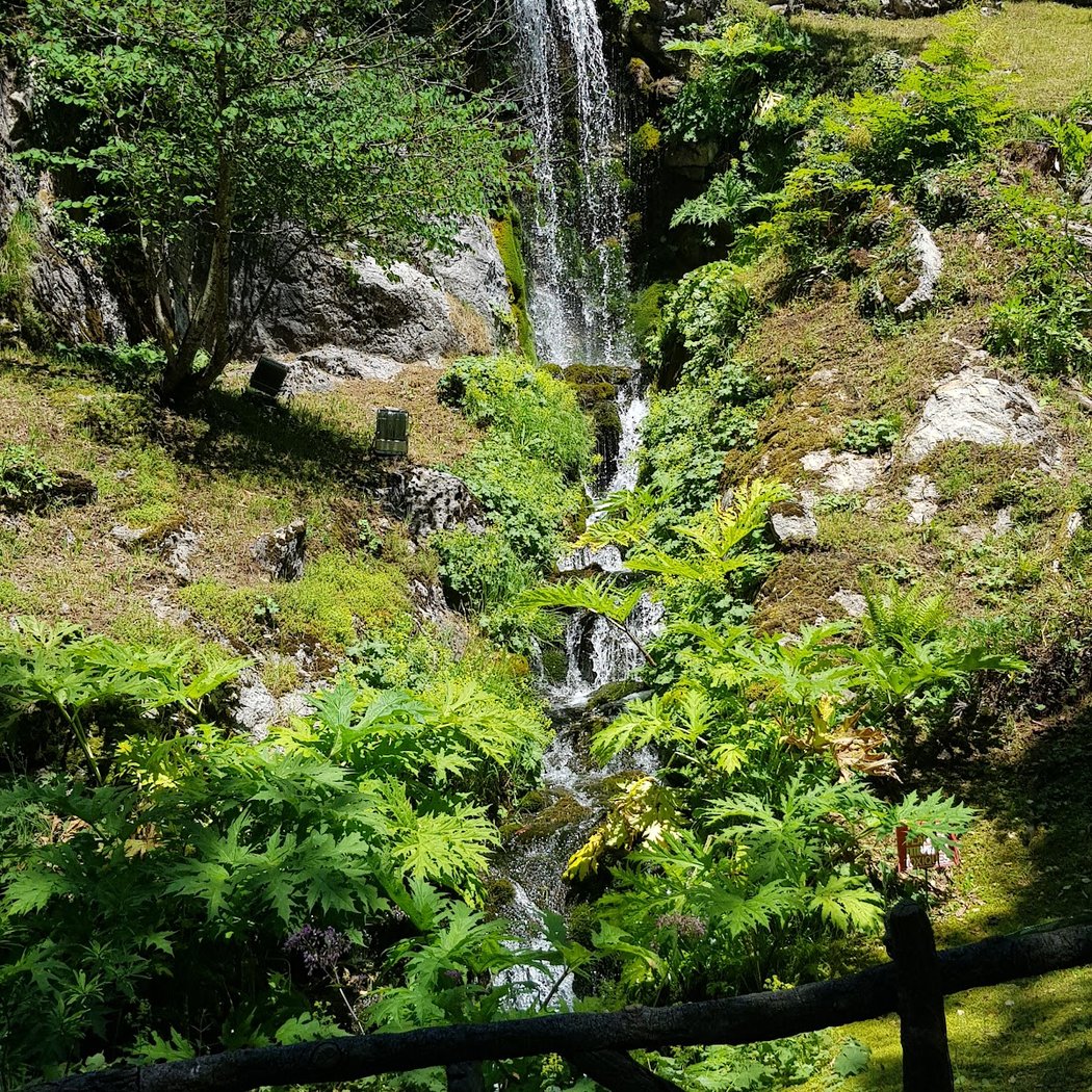Jaÿsinia 2
