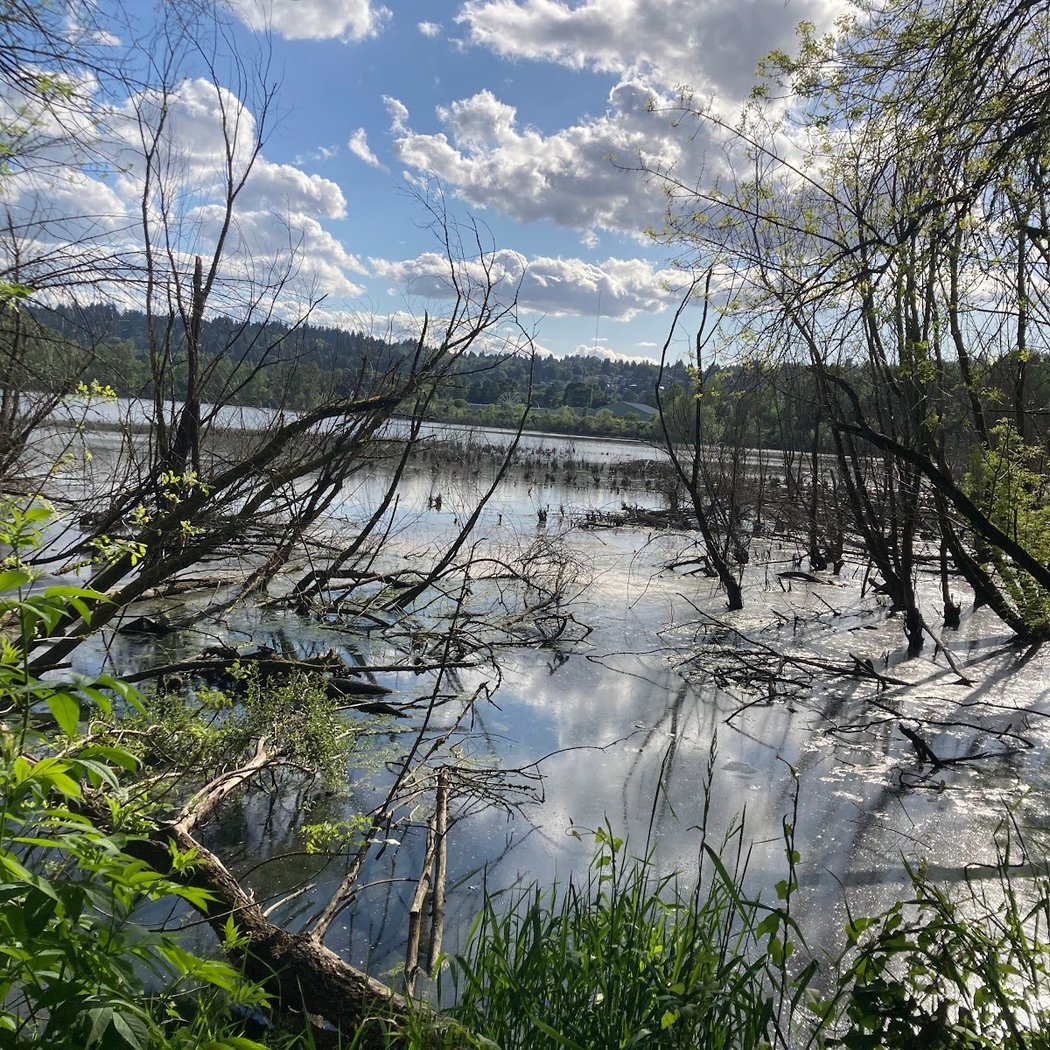 Oaks Bottom Clean-up - August 2026 1